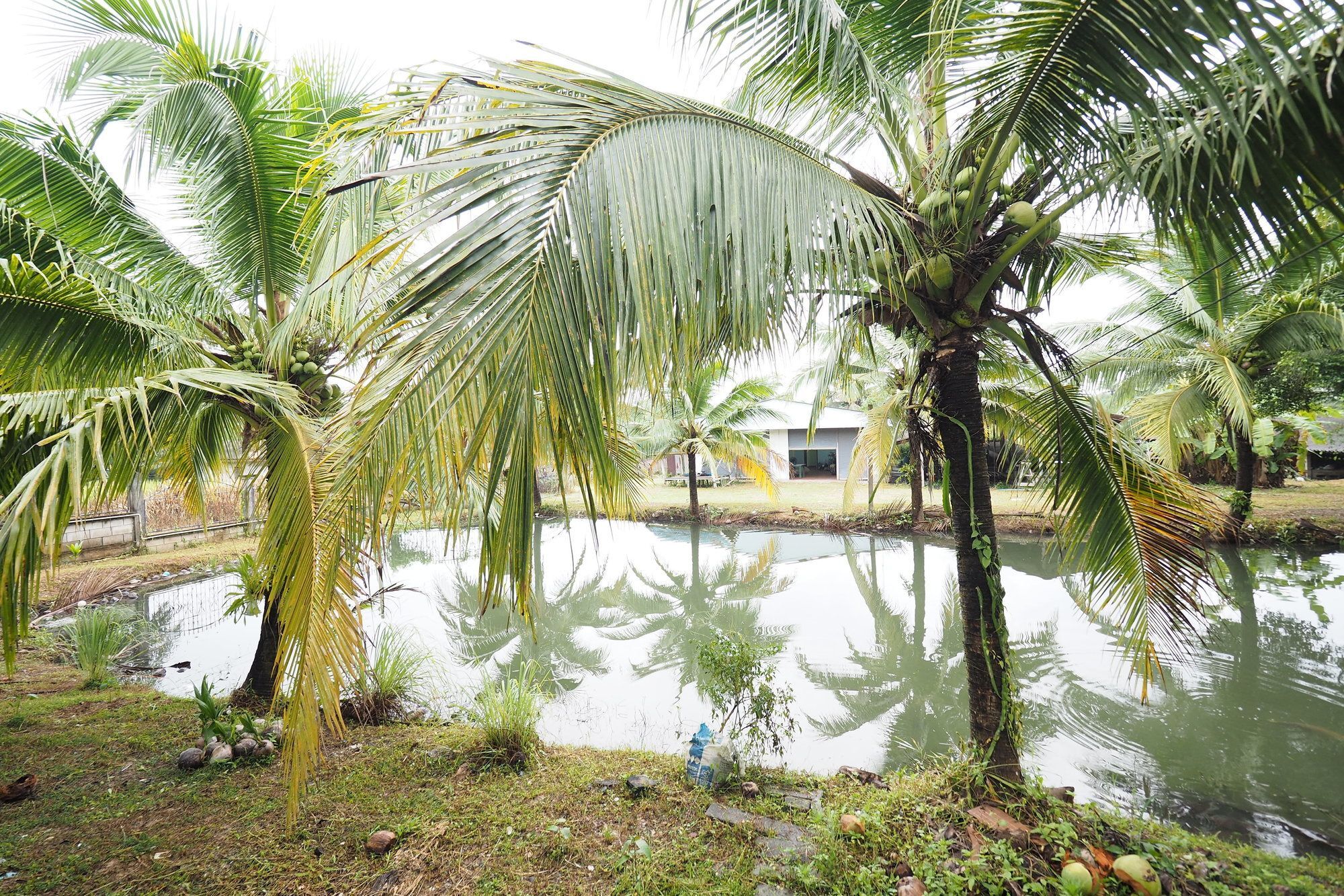 Oyo 75515 Sairung Farmstay Krabi By Eksteriør billede