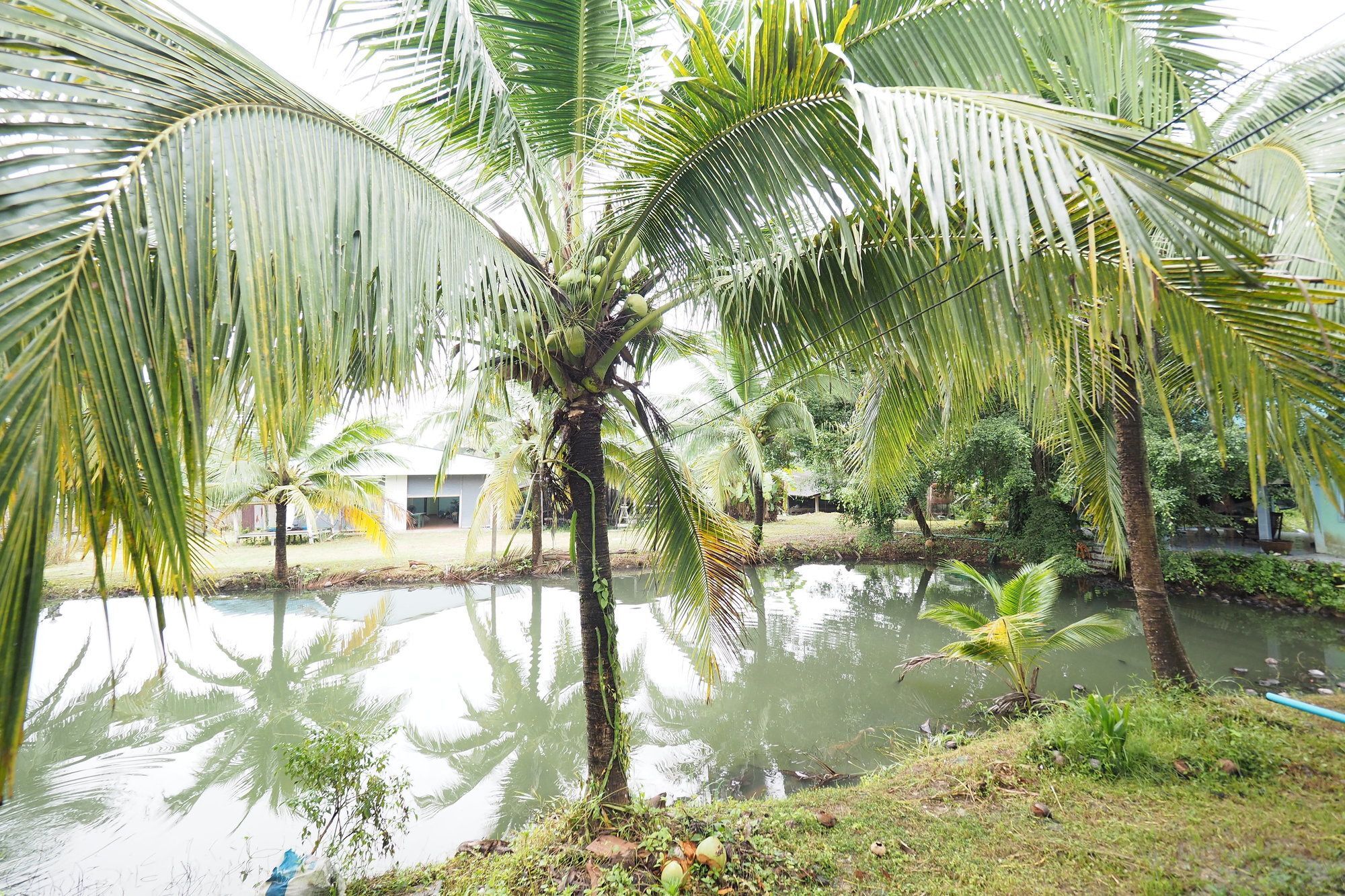 Oyo 75515 Sairung Farmstay Krabi By Eksteriør billede